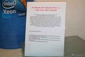 IMG 7648